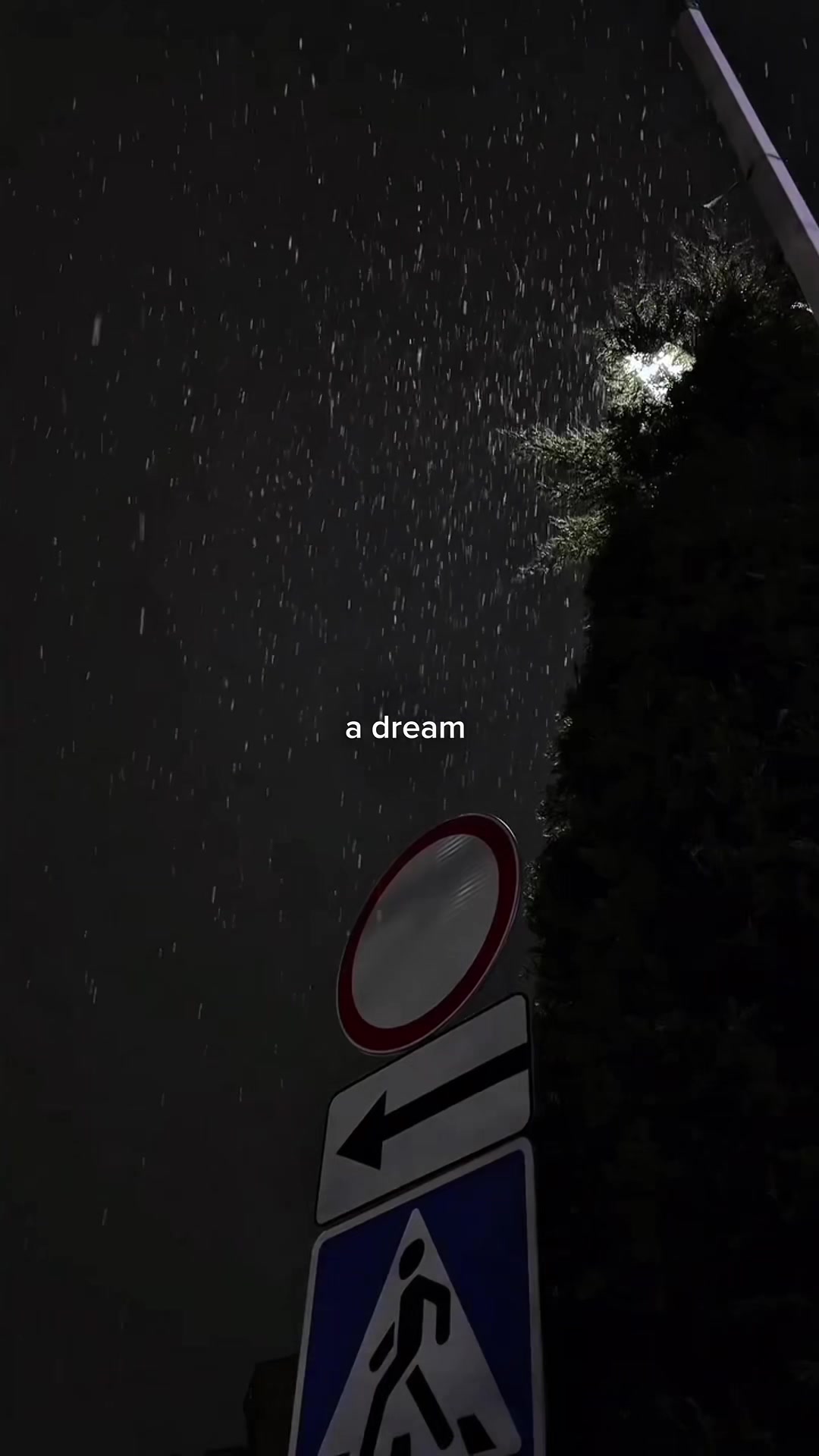 @𝐰𝐚𝐧𝐧.𝐜𝐥𝐮𝐛𝐳🎶