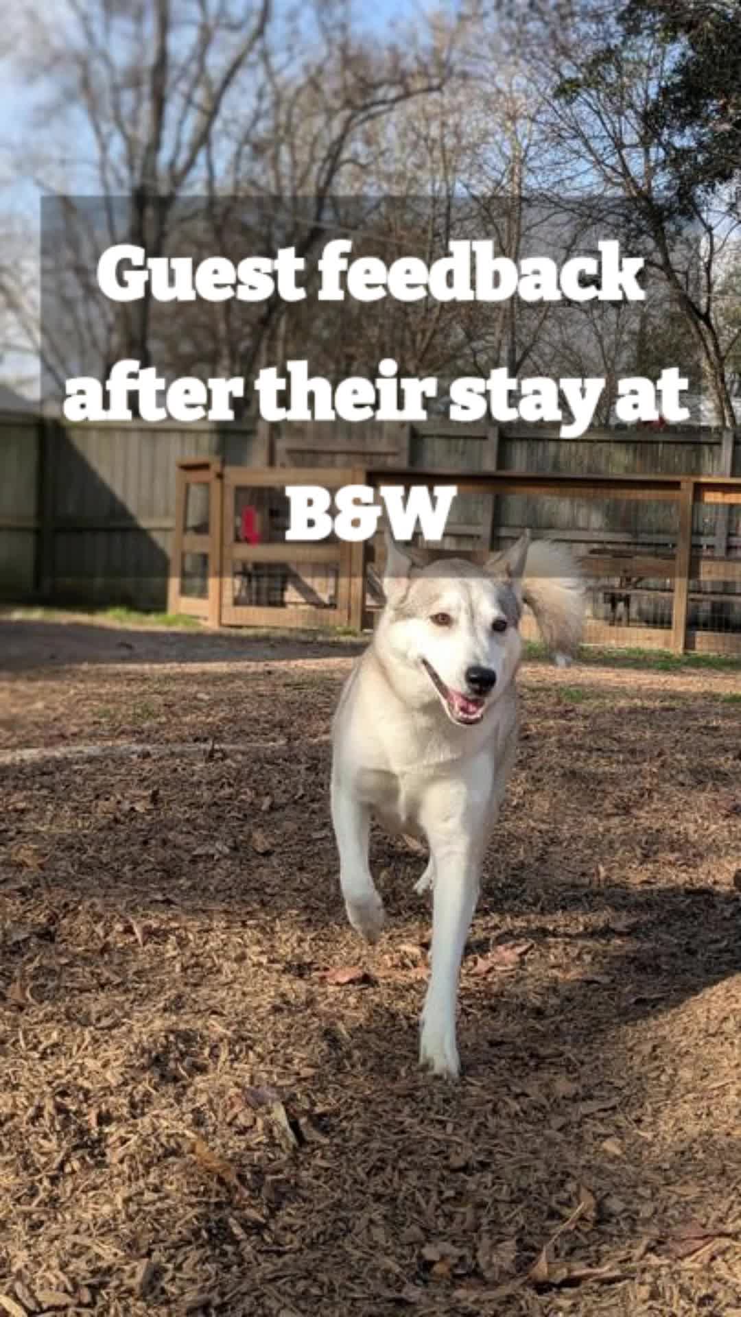 @Barks & Wildlife Longville LA