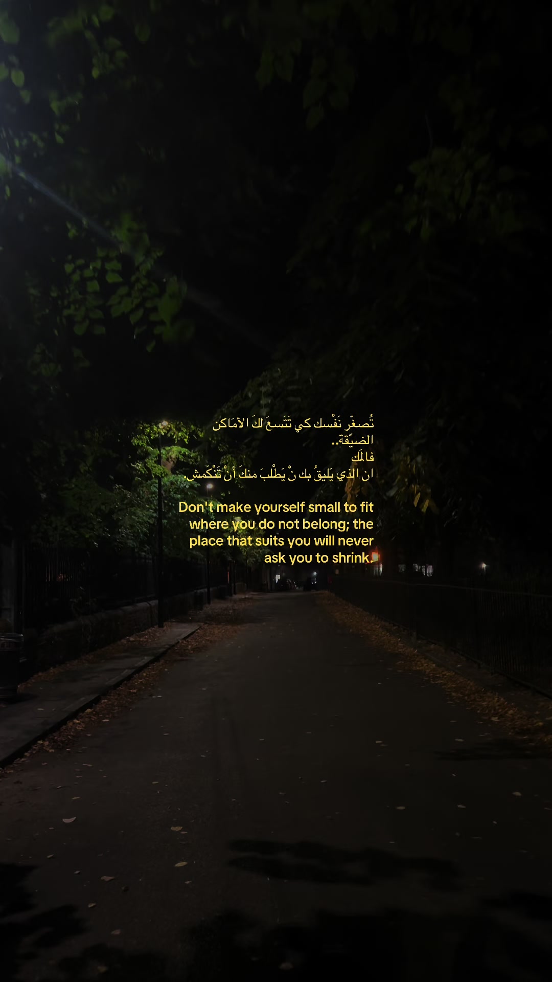 @تحميد