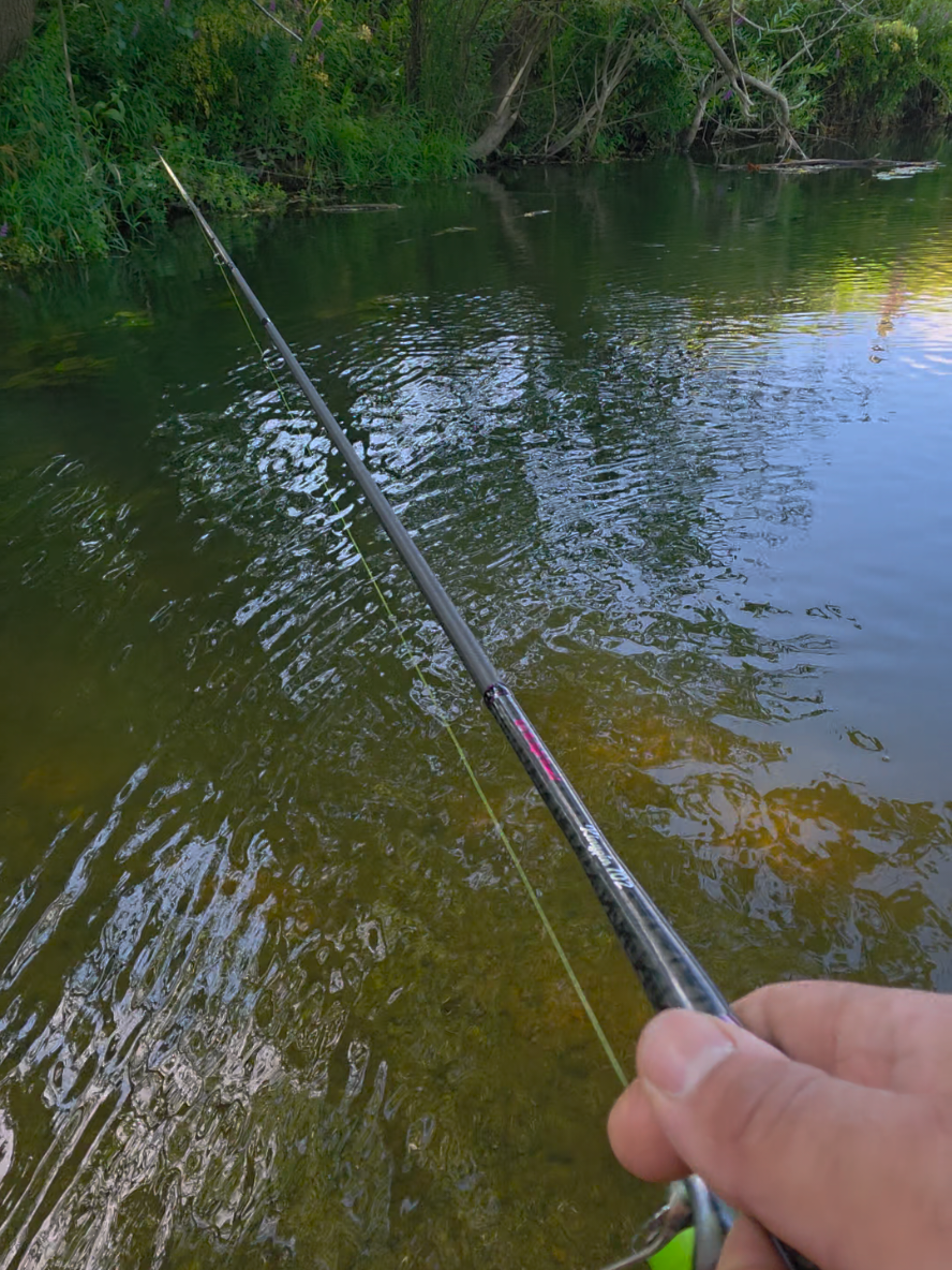 @BF Angler