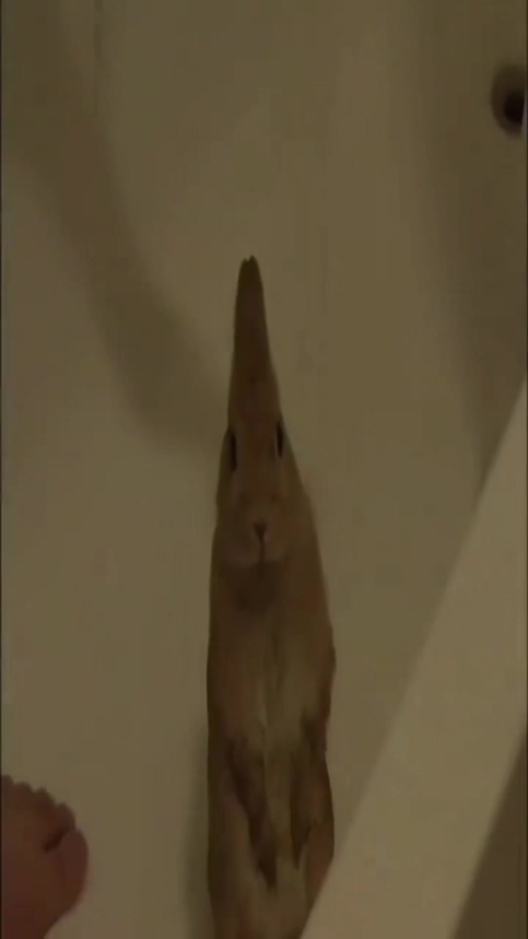 @♪