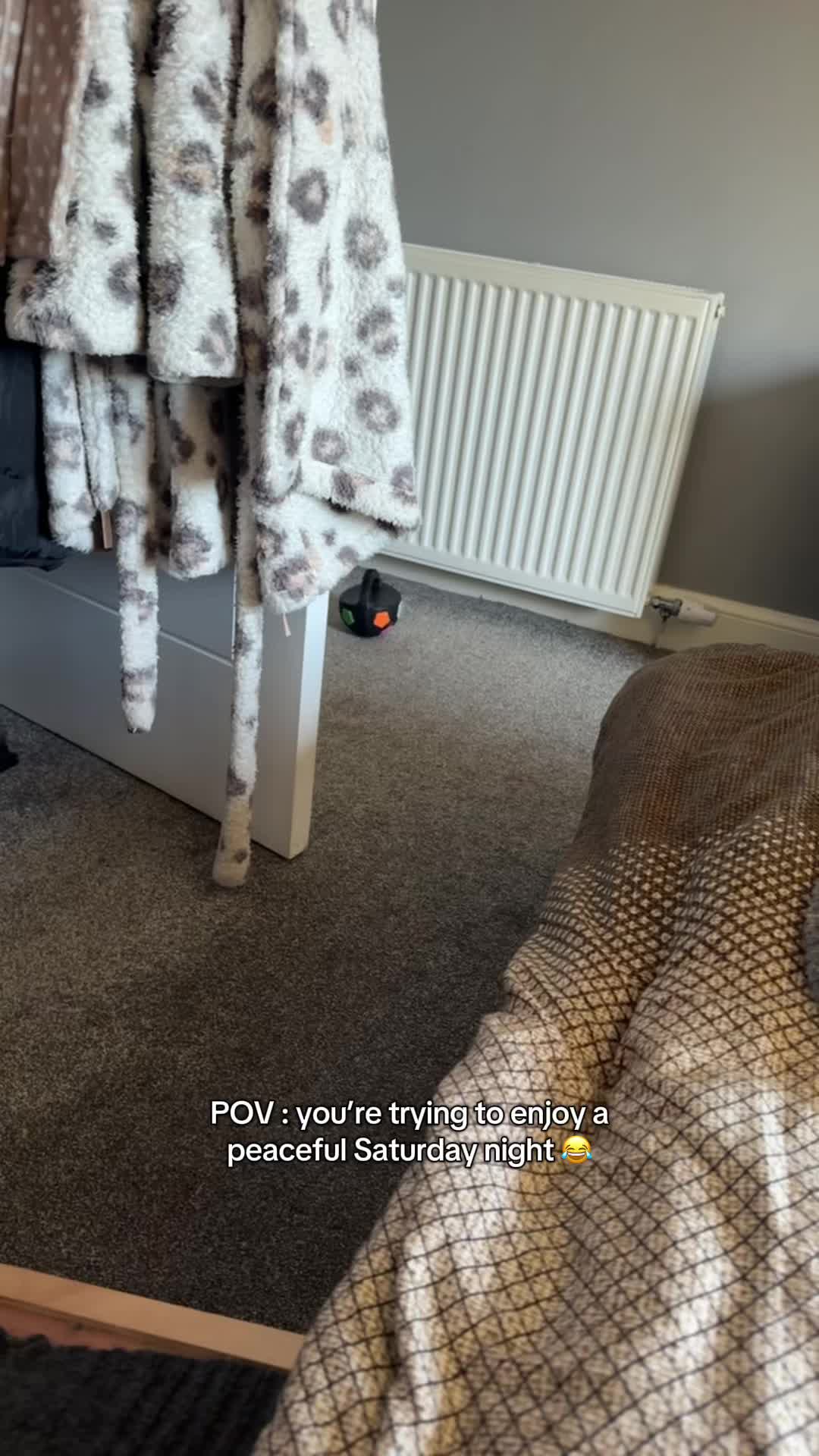 @ciciolive_mini_weiners