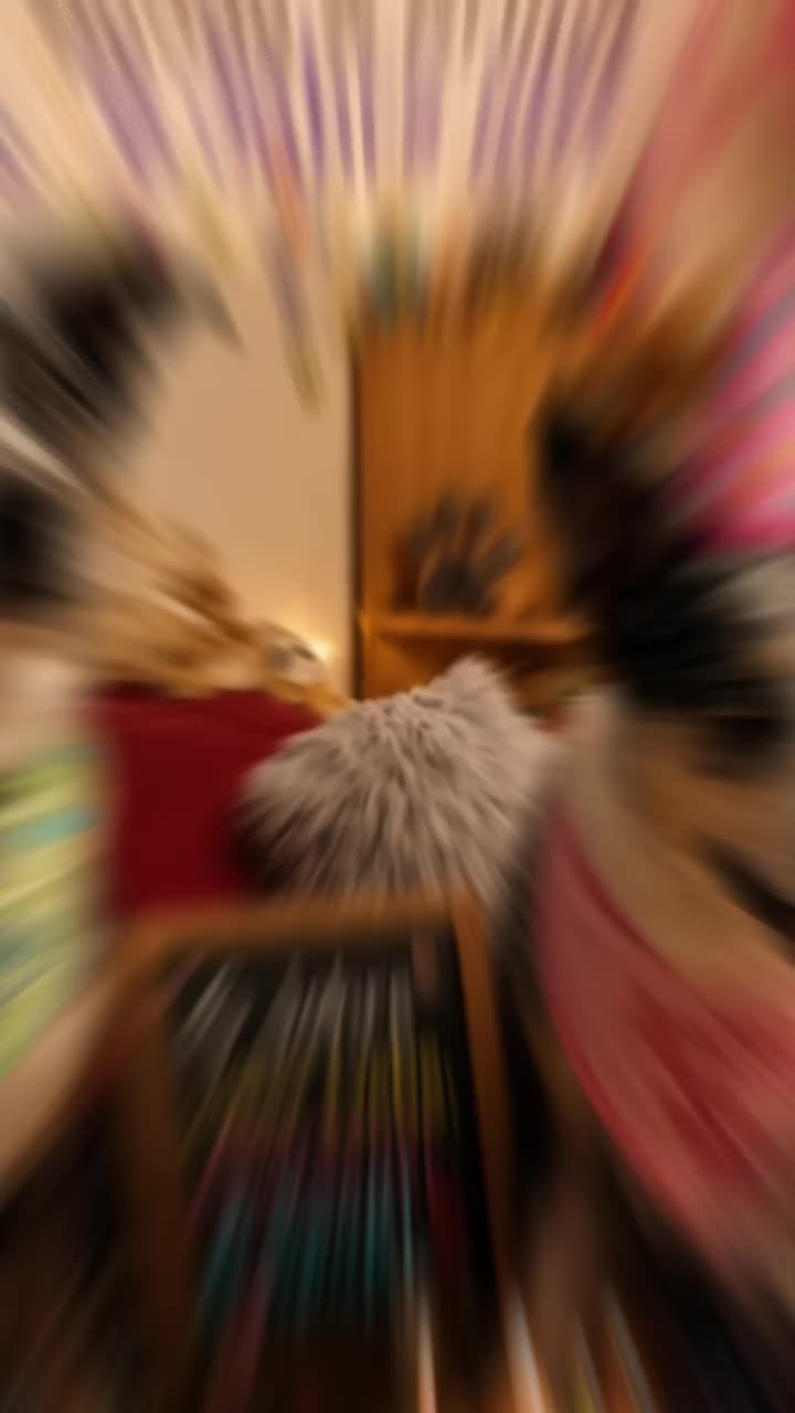 @Buddy the fundog