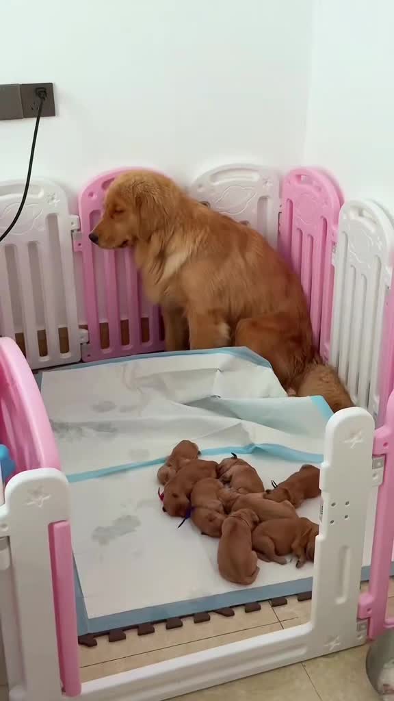 @Funny Cute
