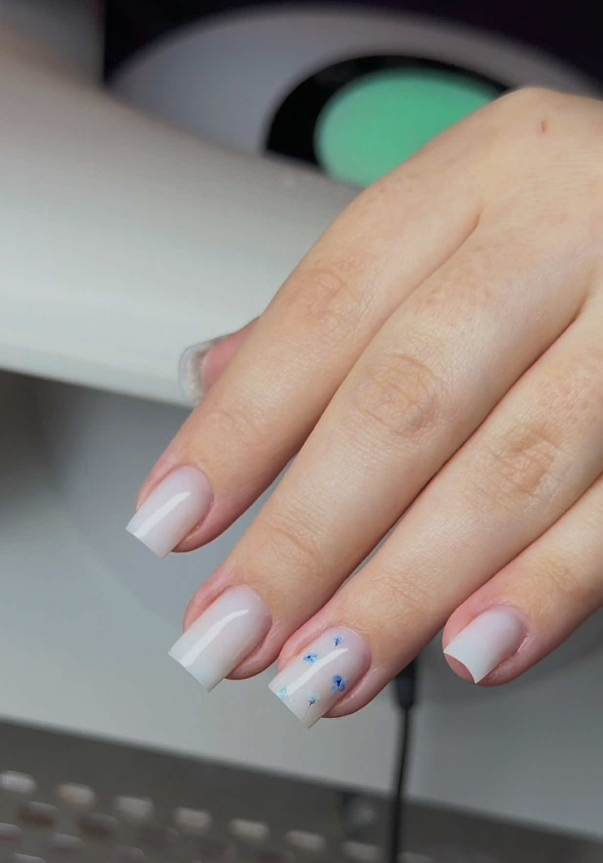 @vl.nails