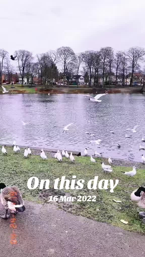 @Arif osman🇬🇧🇭🇺🇮🇶
