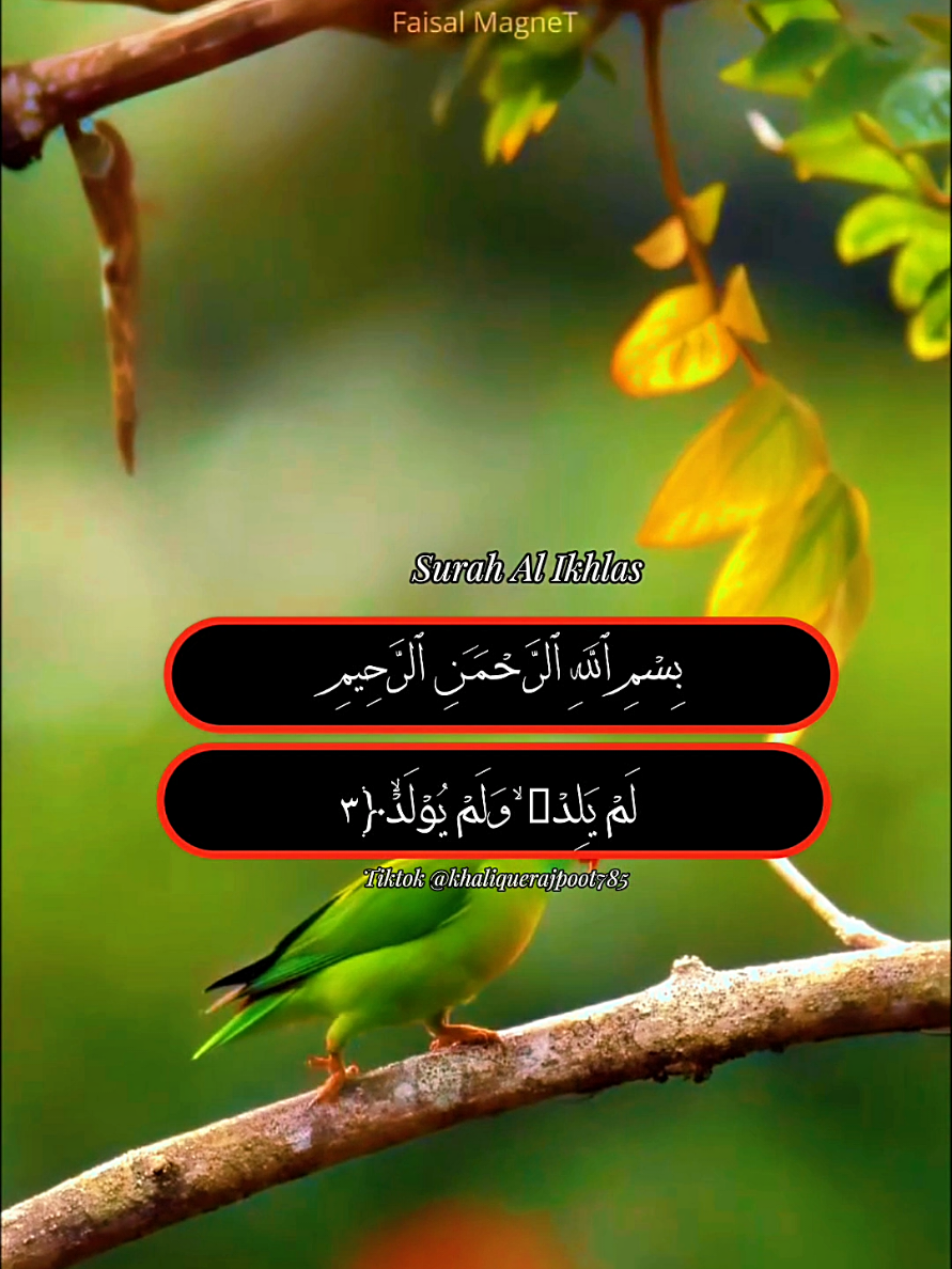 @allah waly