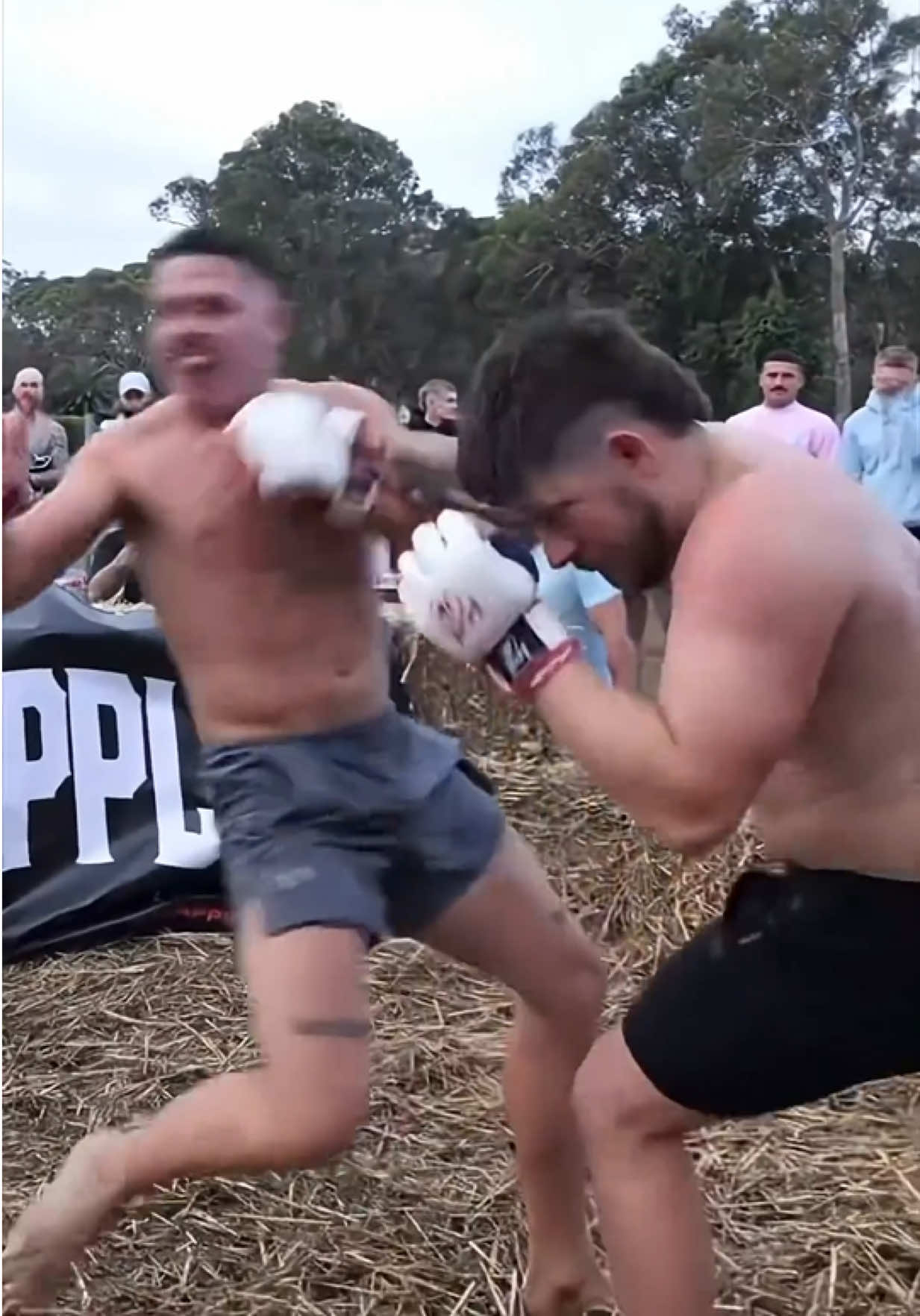 @FightingLab