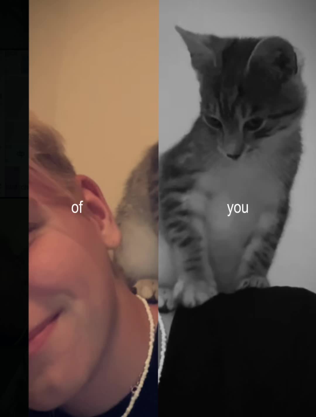 @🧚♂️