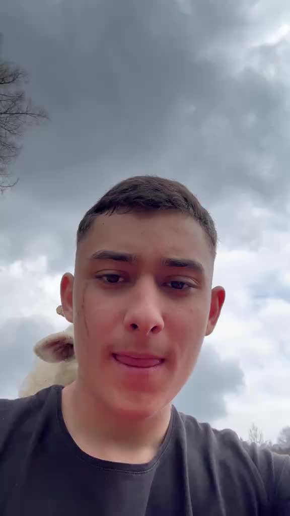 @GrygBoca