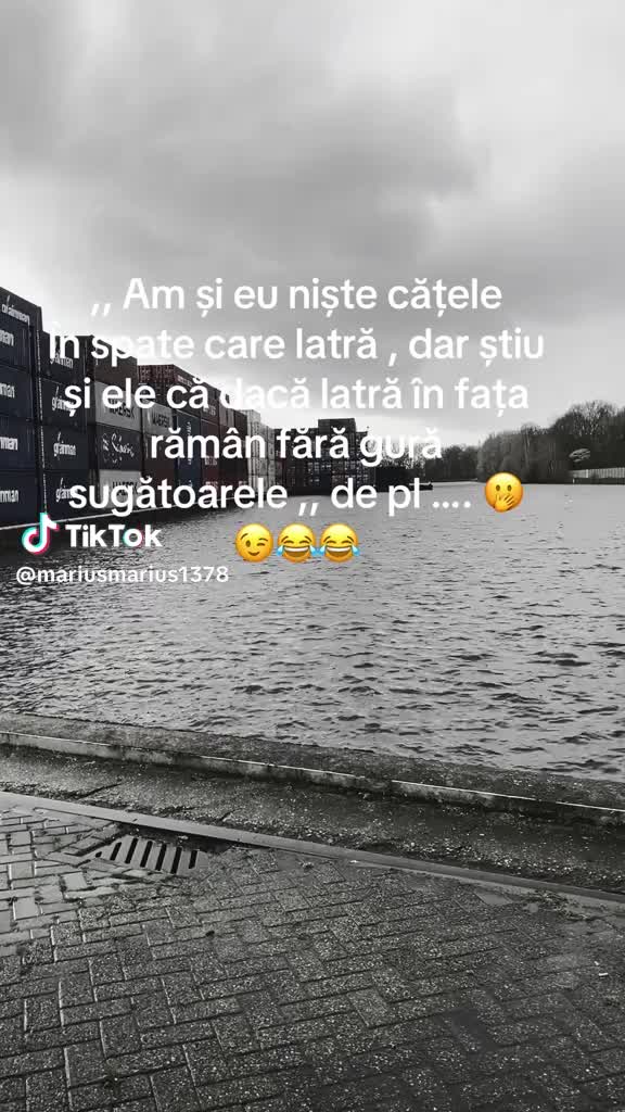 @Anabarbulescu