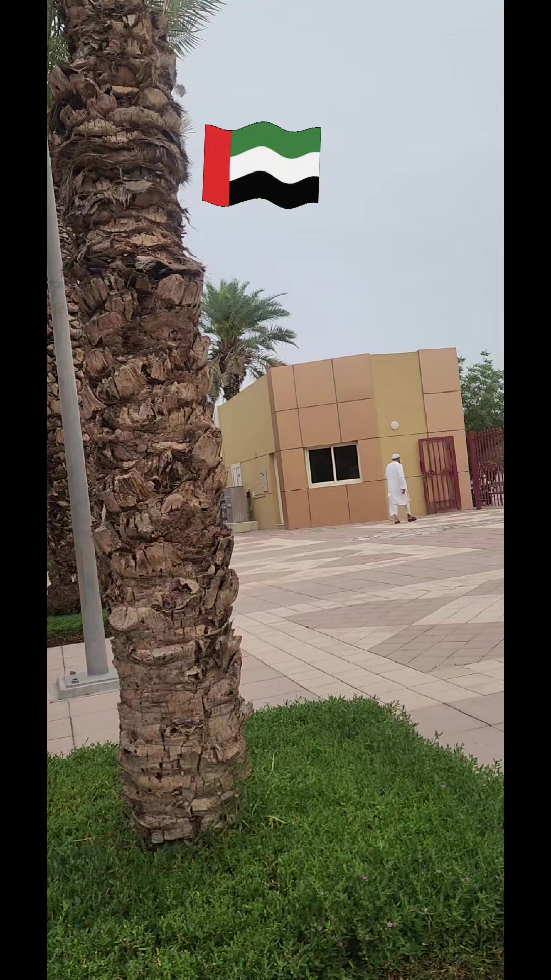 @DubaiDiary