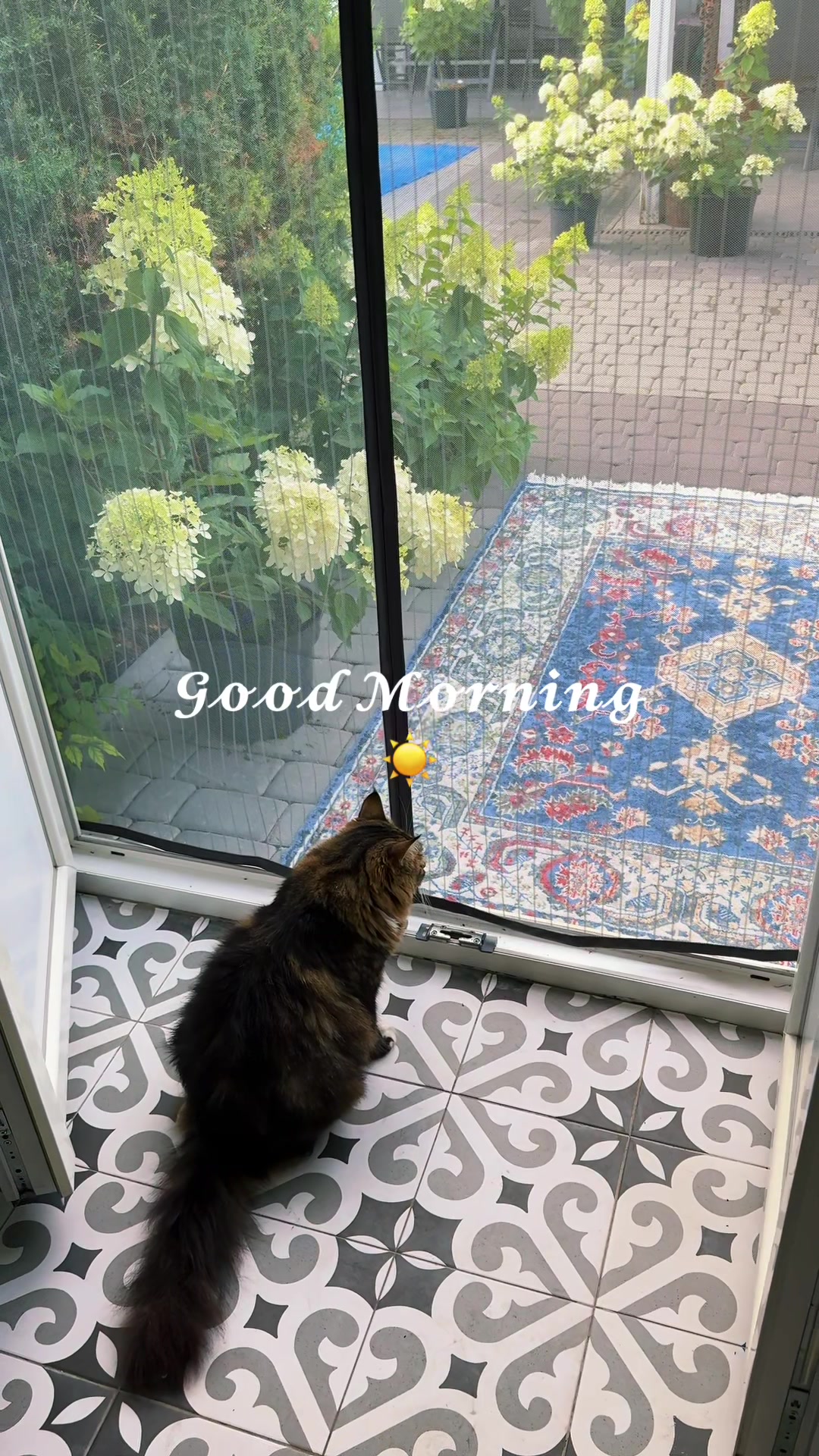 @🍒 𝓘𝓿𝓪𝓷𝓽𝓼𝓸𝓿𝓪 ♡🍒