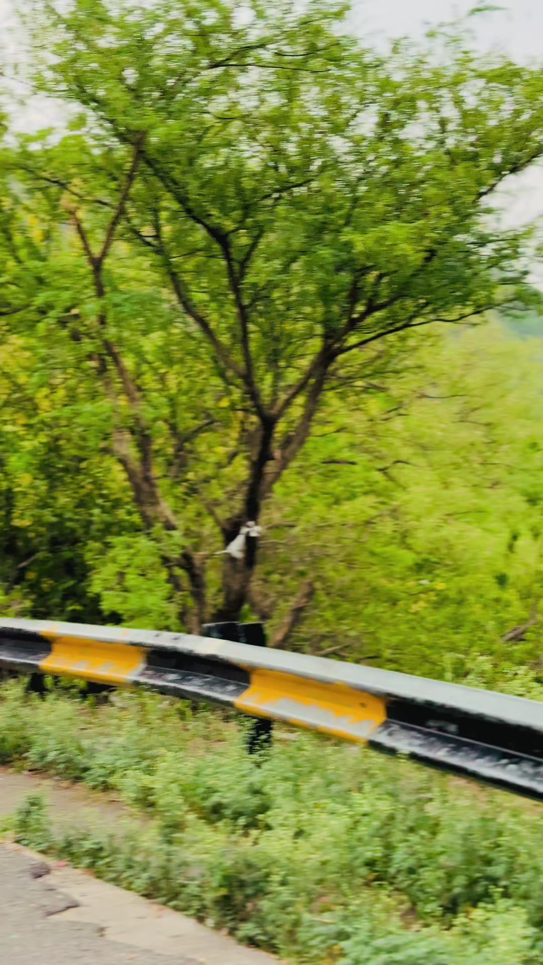 @Sheryar khan Mehsud✅