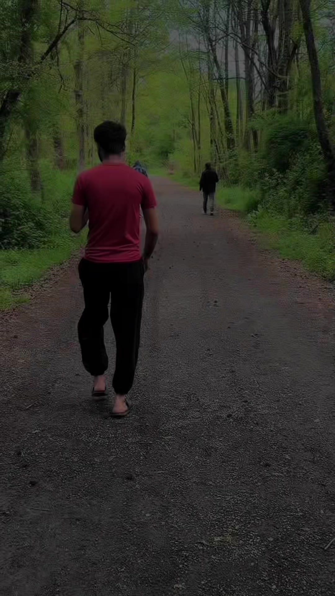 @hashi____butt