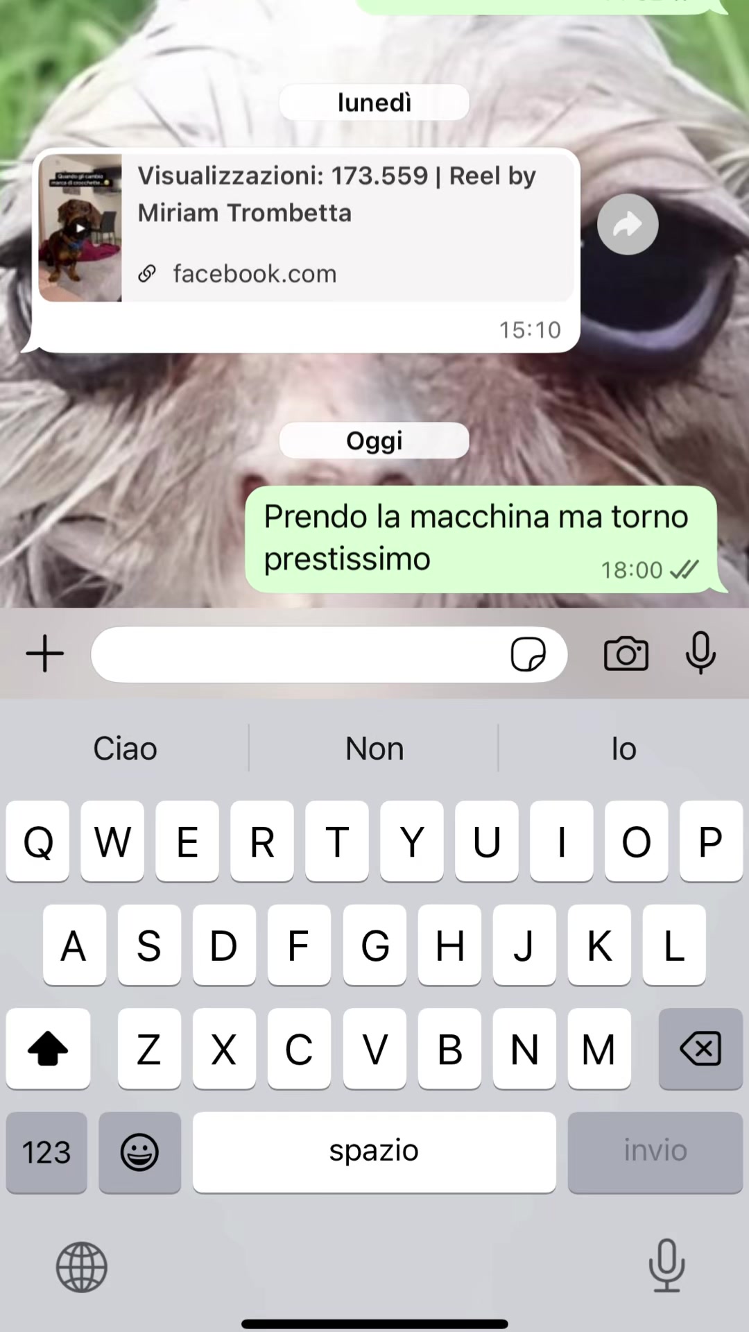 @peskita