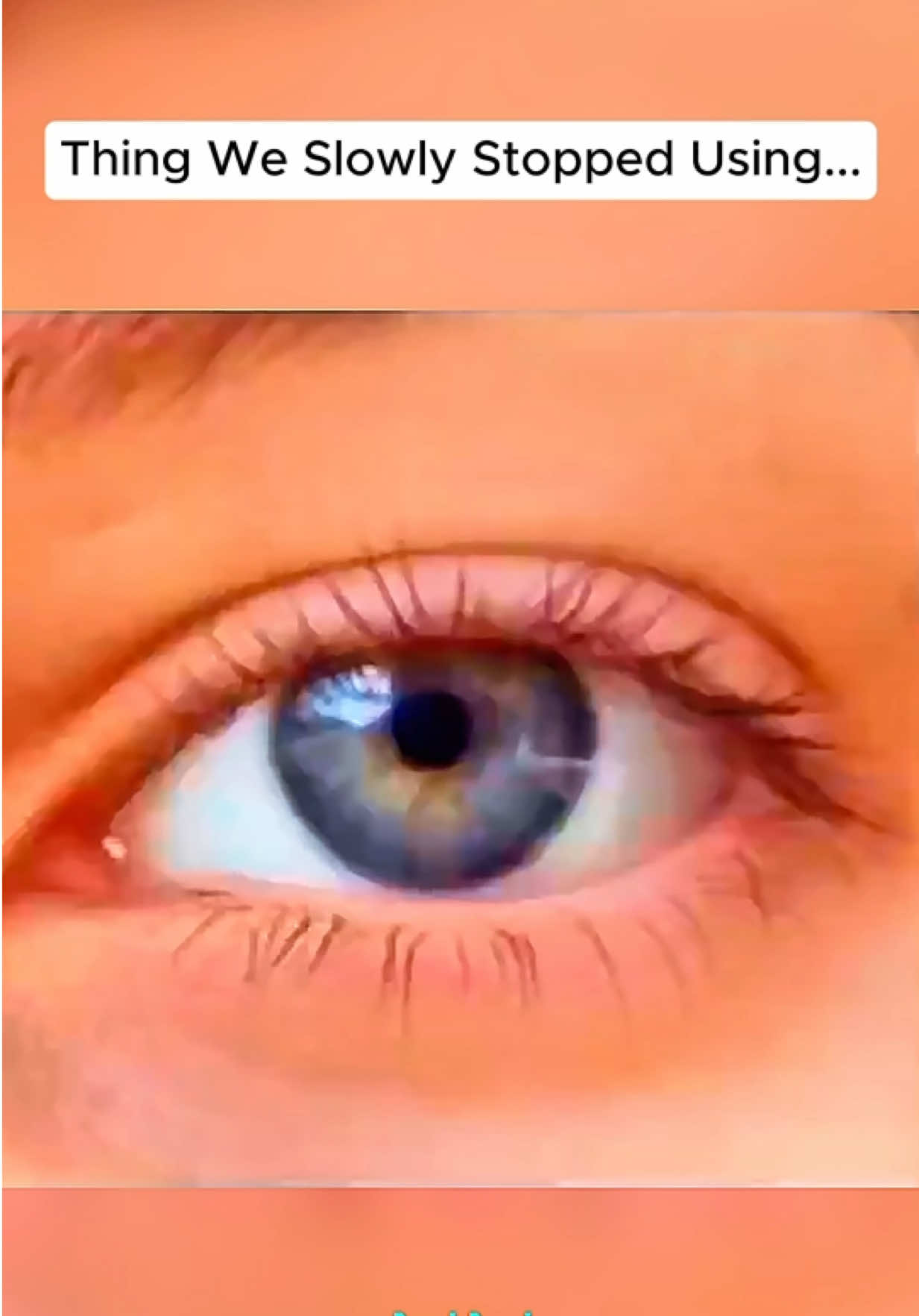 @NicheNovaNostalgia
