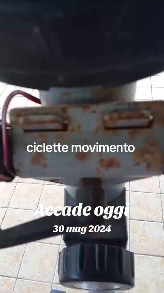 @Elena marini