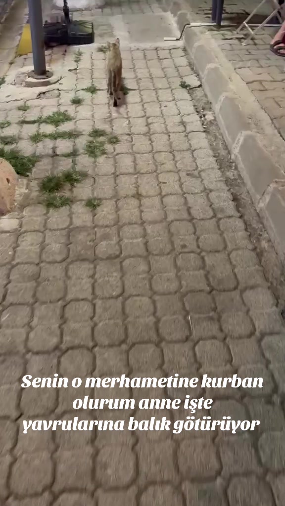@🖤🤍kartaliçe🖤canan🖤🤍