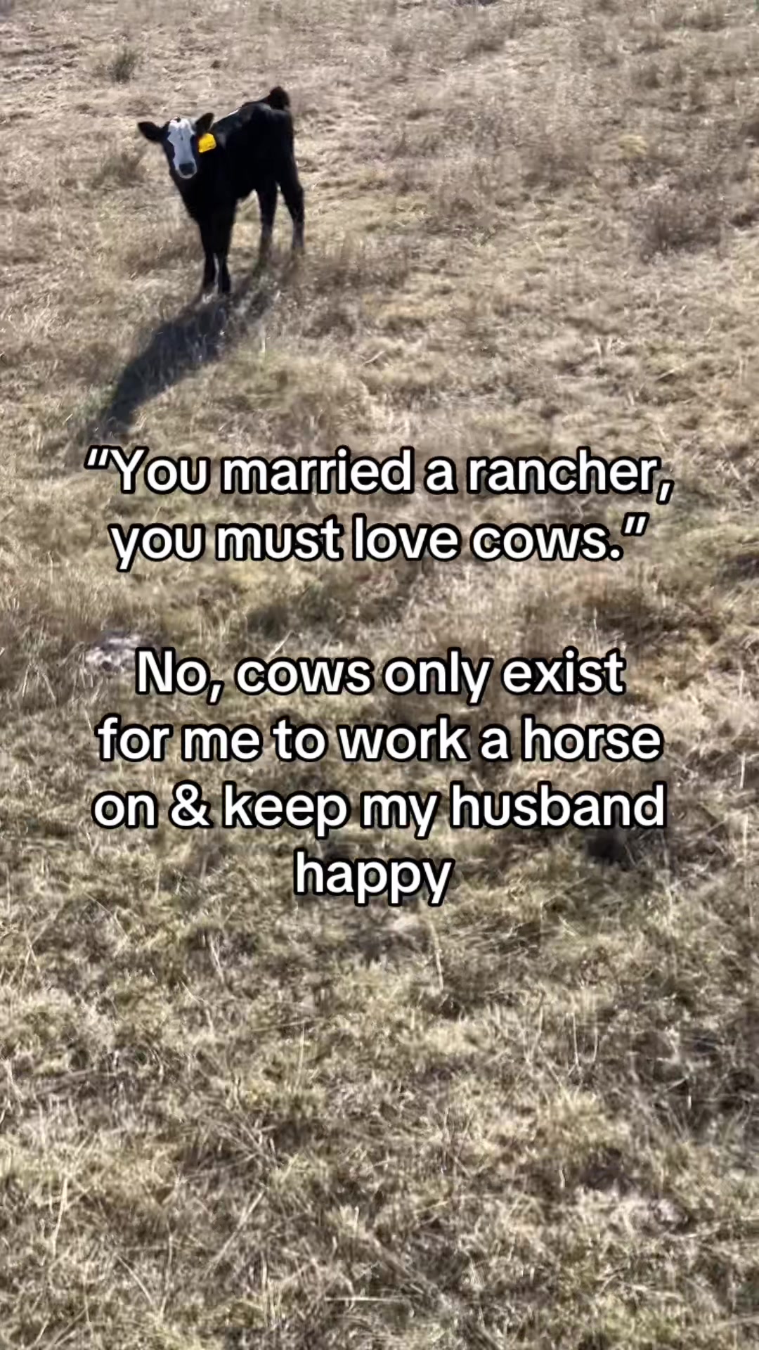 @Sleepy Creek Tack