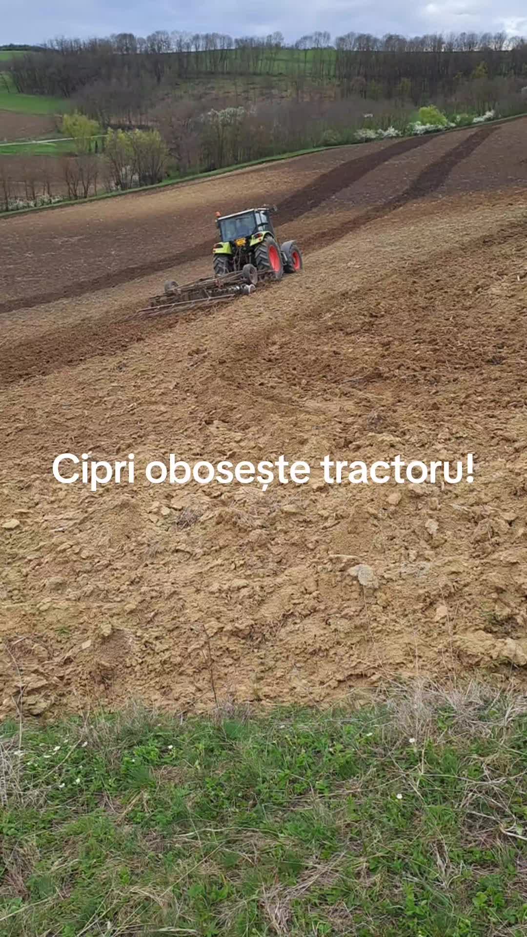@levibalazs3