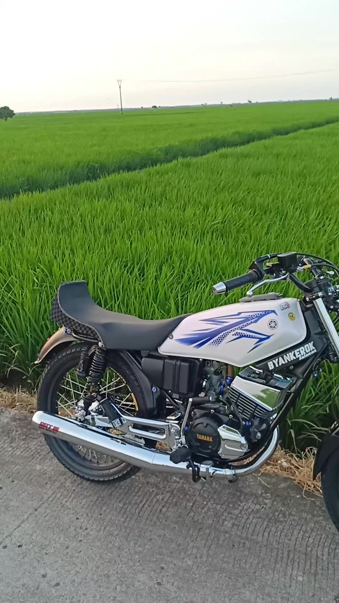 @Thomzz King's Krw #522 🏁