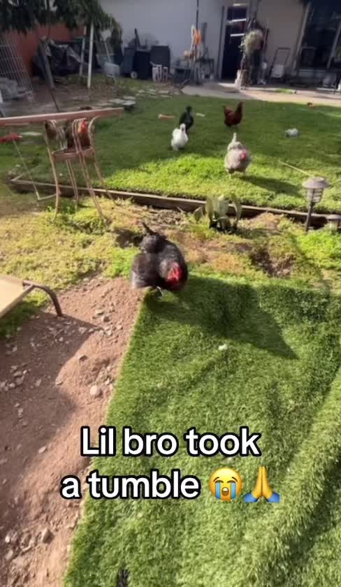 @Seven_mightyhens