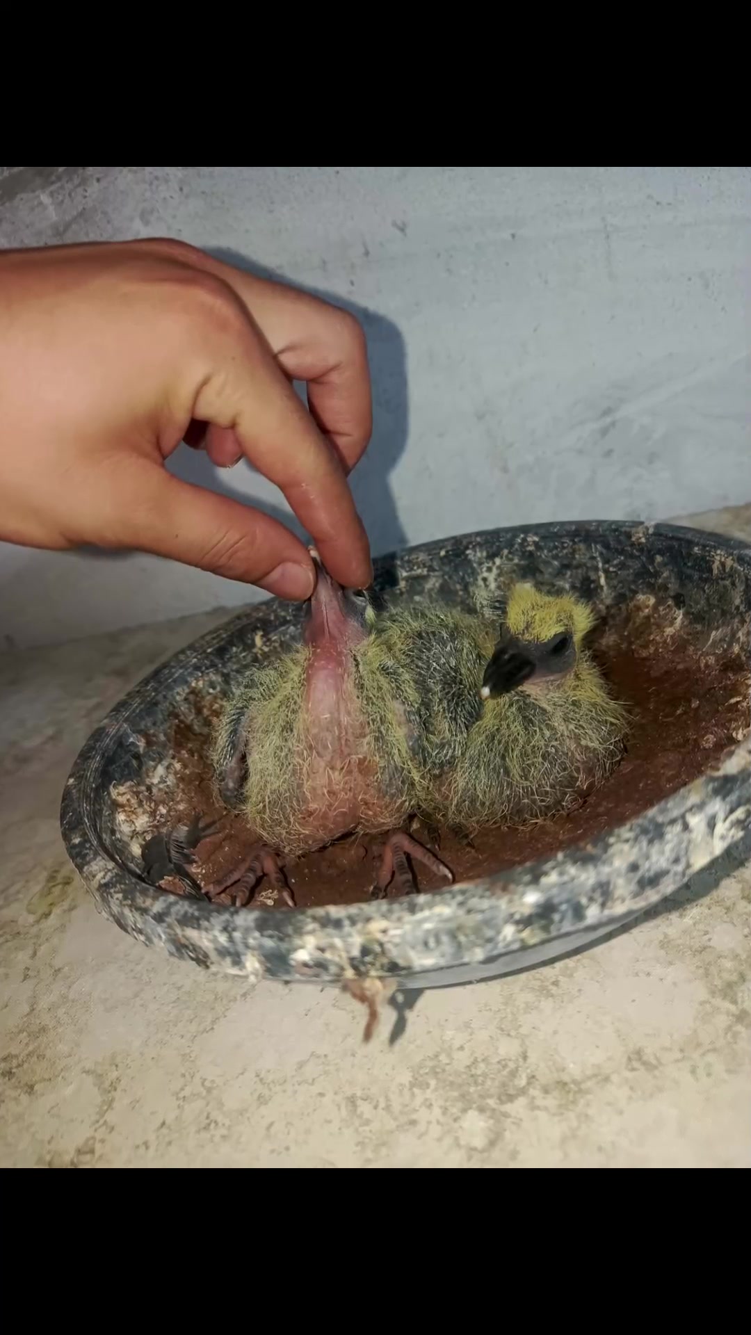 @Emre KarKacı