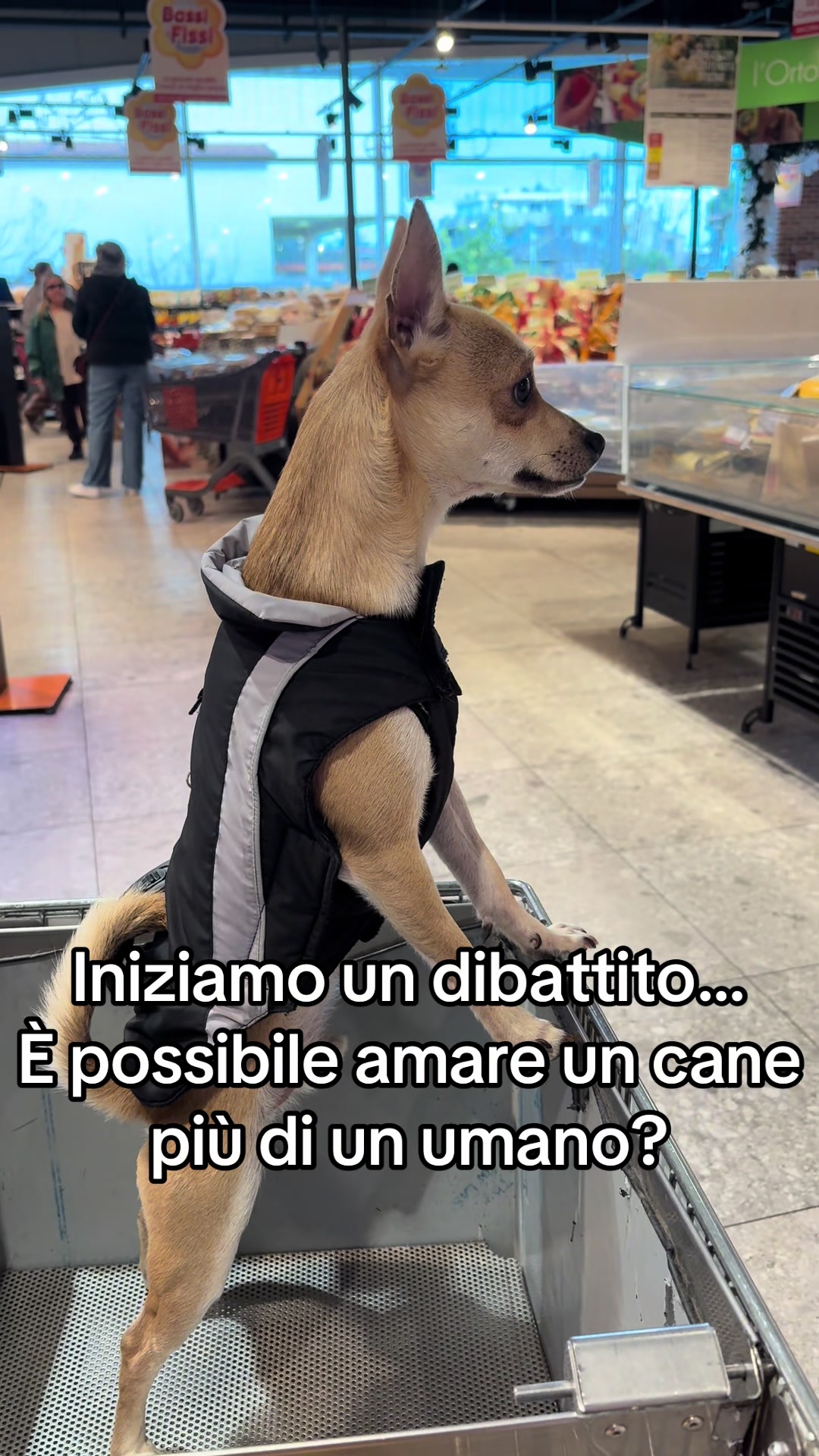 @Piccolo Theo👑