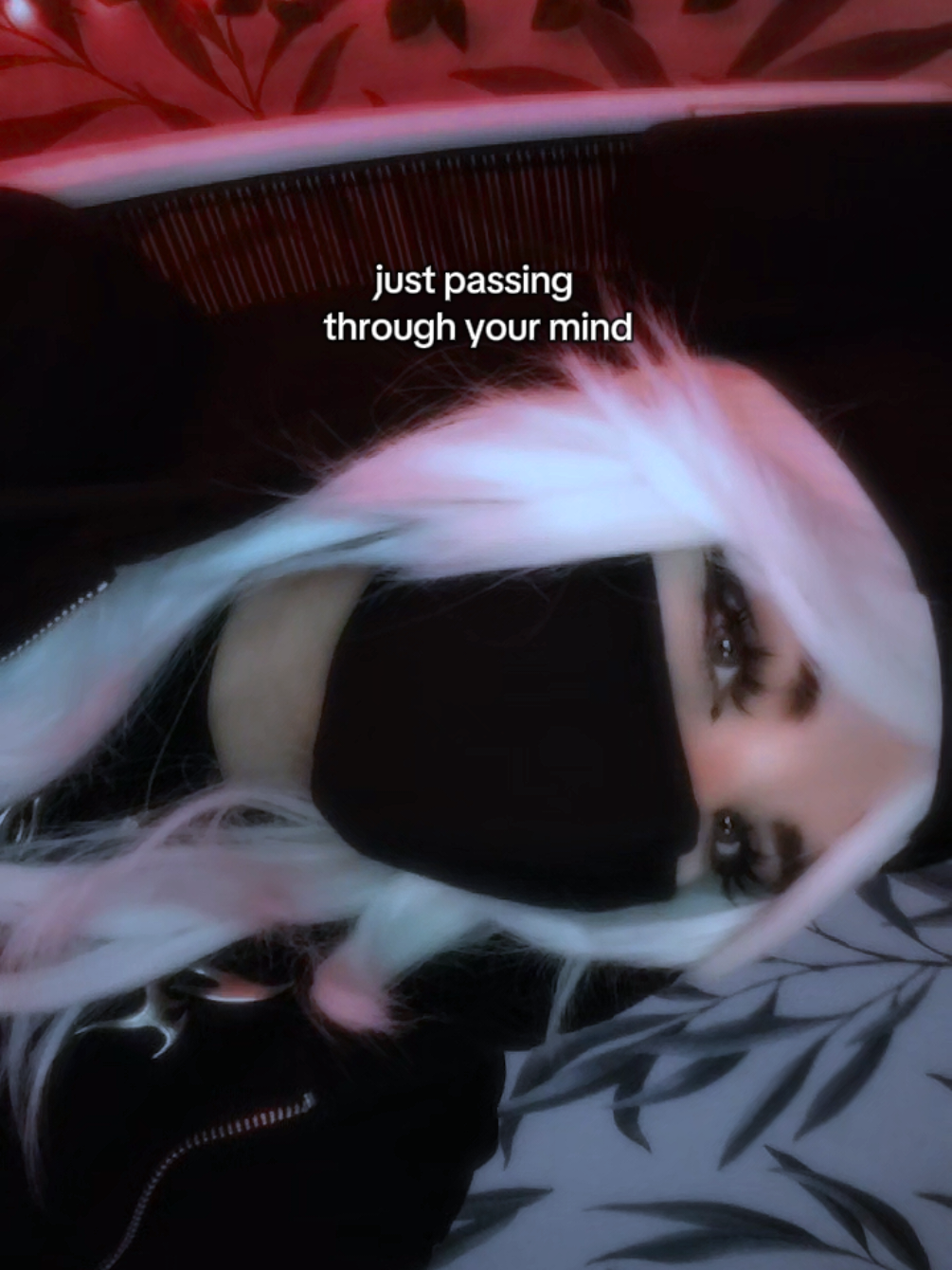 @ꜱᴏꜰᴛ ᴋɪᴛᴛʏ
