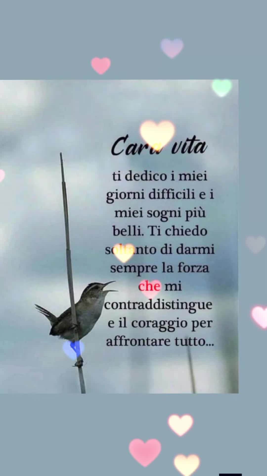 @vitomarabello2
