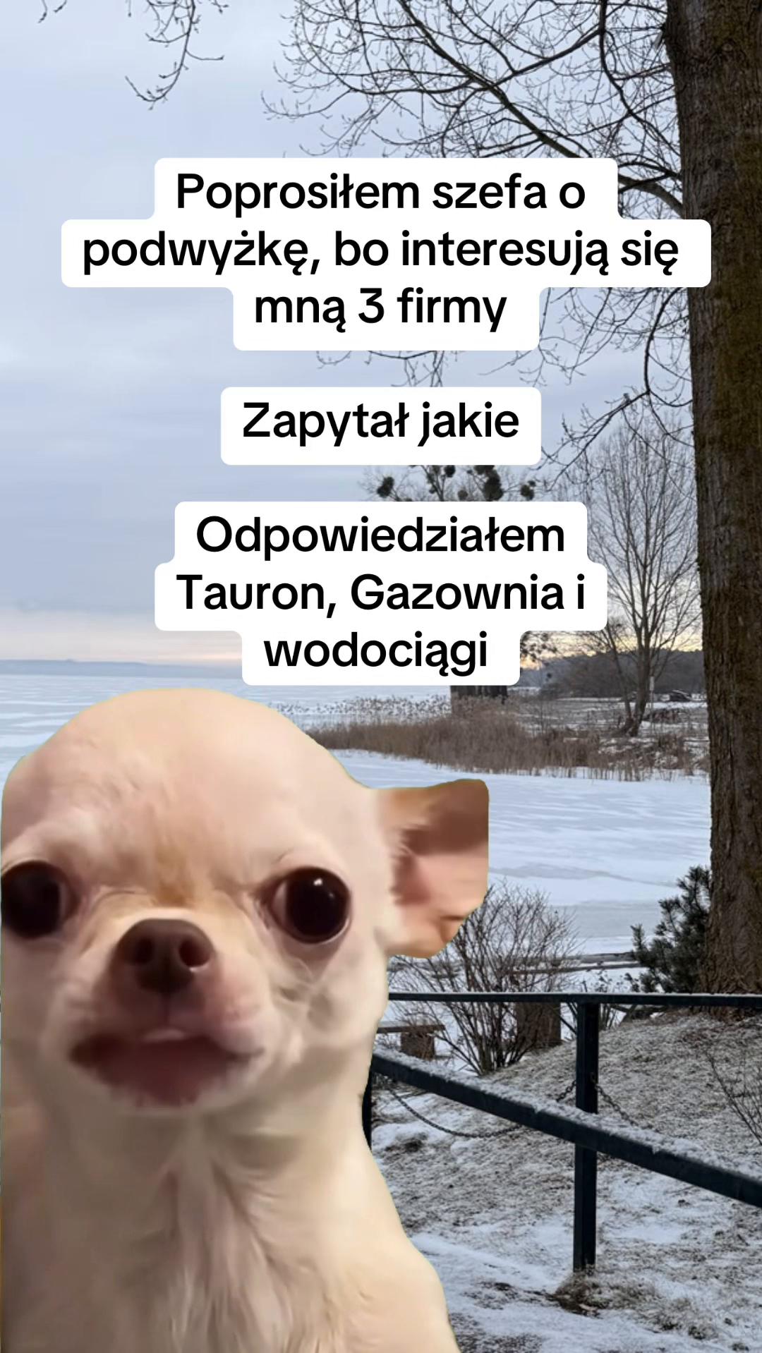 @mem08