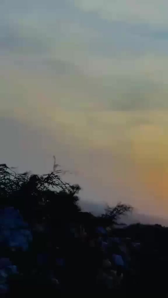 @🥀✌🏻سیفی چھدرو آلہ🖤🦅