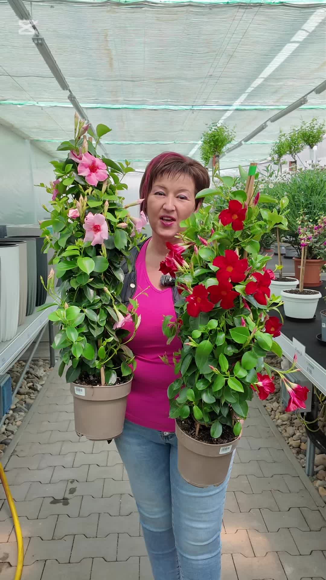 @FLORALAND-KFT