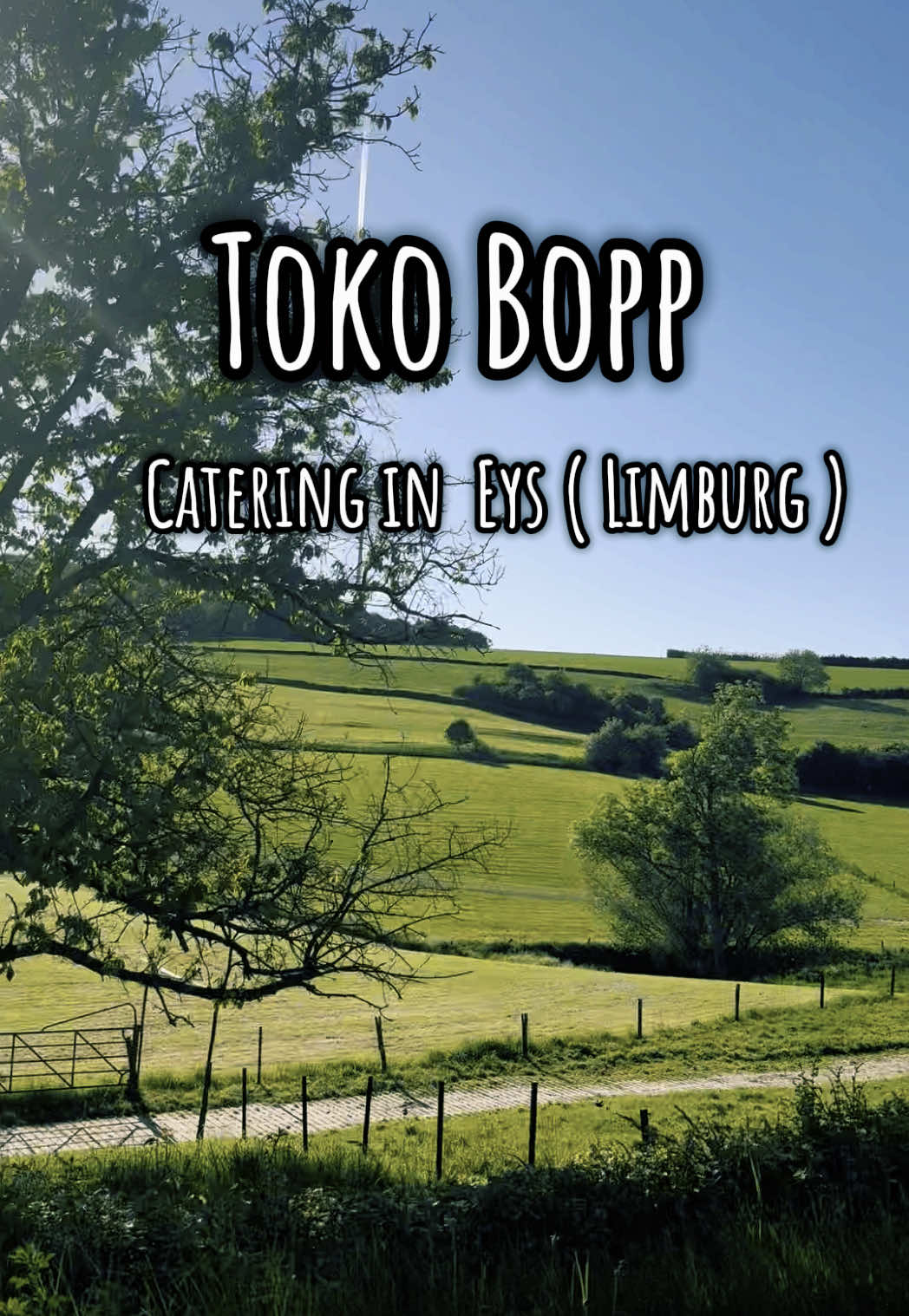 @Toko Bopp