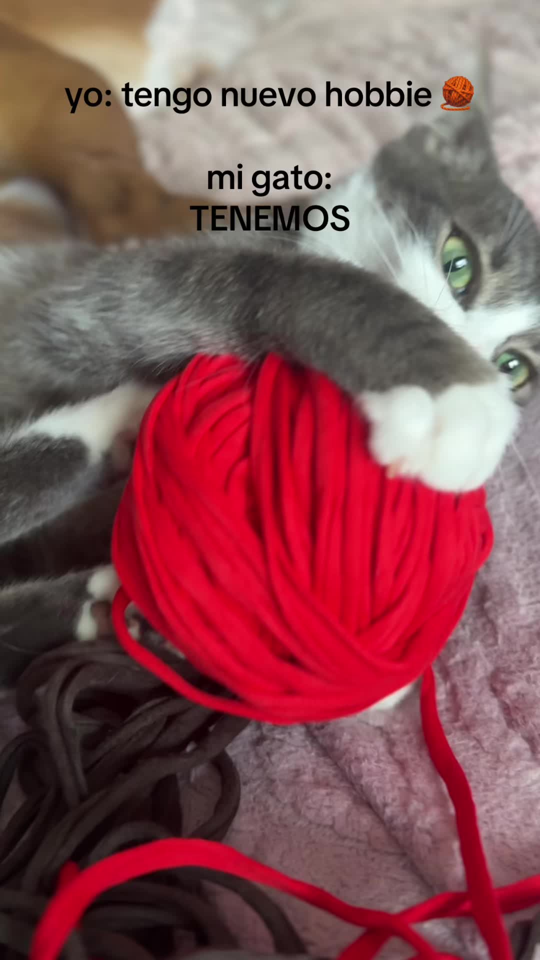 @Cuba y Lilo💖