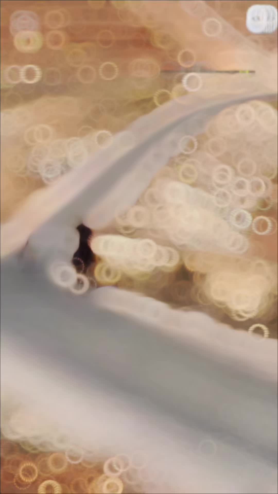 @يامن حياري