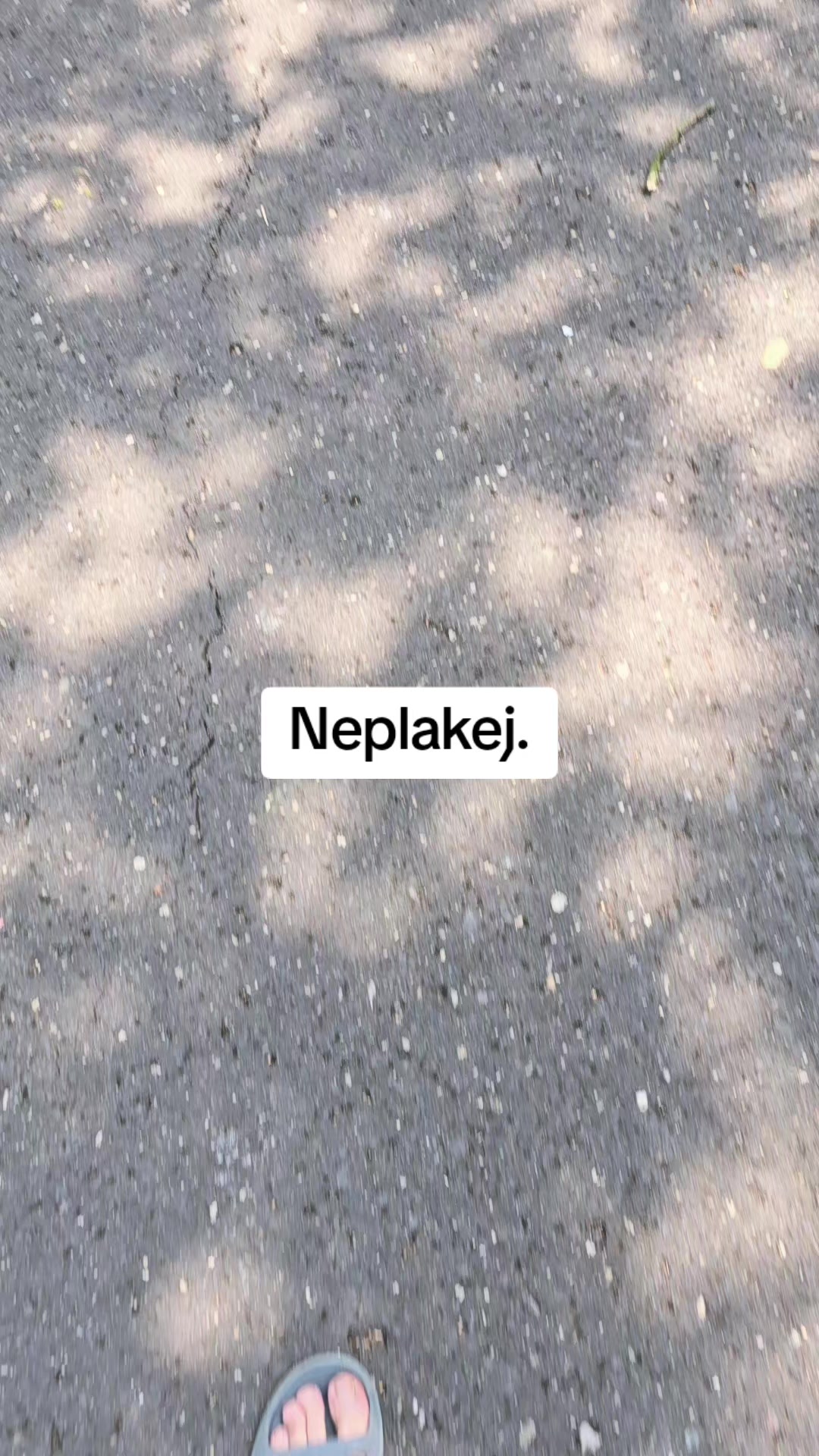 @♡ 𝕃&aacute;𝕤𝕜𝕒_𝕔𝕚𝕥&aacute;𝕥𝕪 ♡