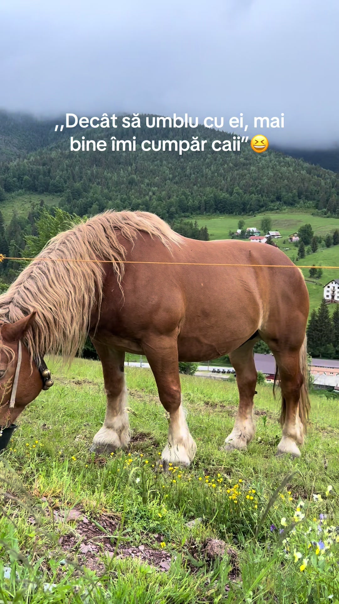 @Andrada❤️💫