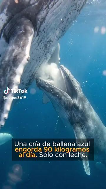 @๐๐๐ โ ๐ ๐ช๐ธ