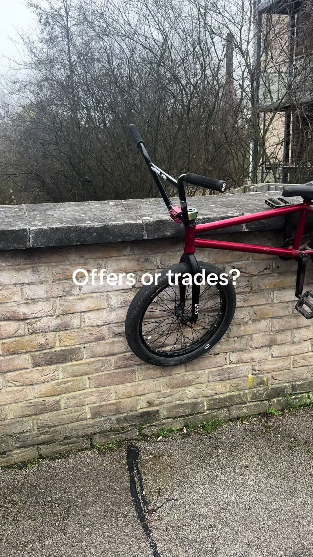 @Pleb on one wheel