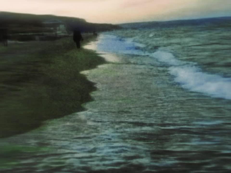 @♪𝘴𝘴𝘩𝘩𝘰𝘰𝘳𝘳𝘵𝘵𝘺𝘺♪