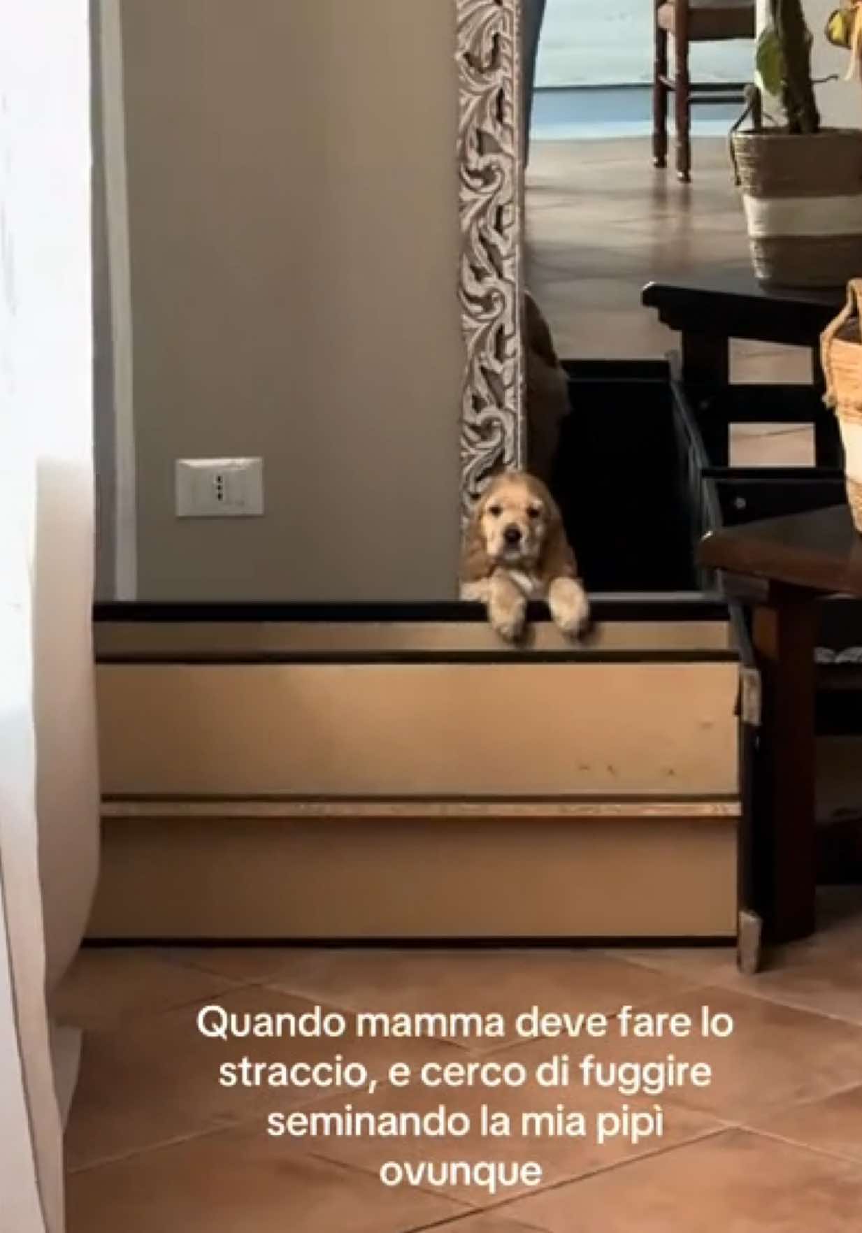 @roberta.serio