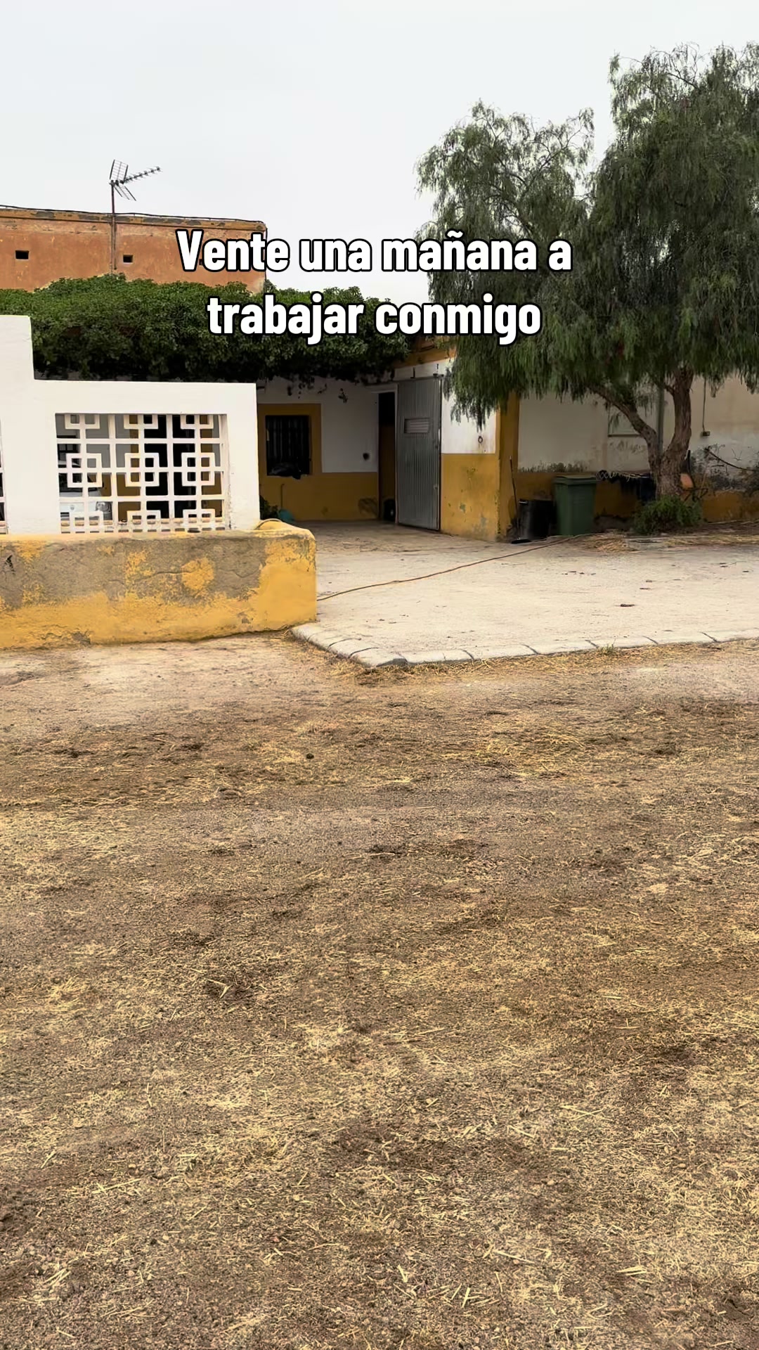 @Ana