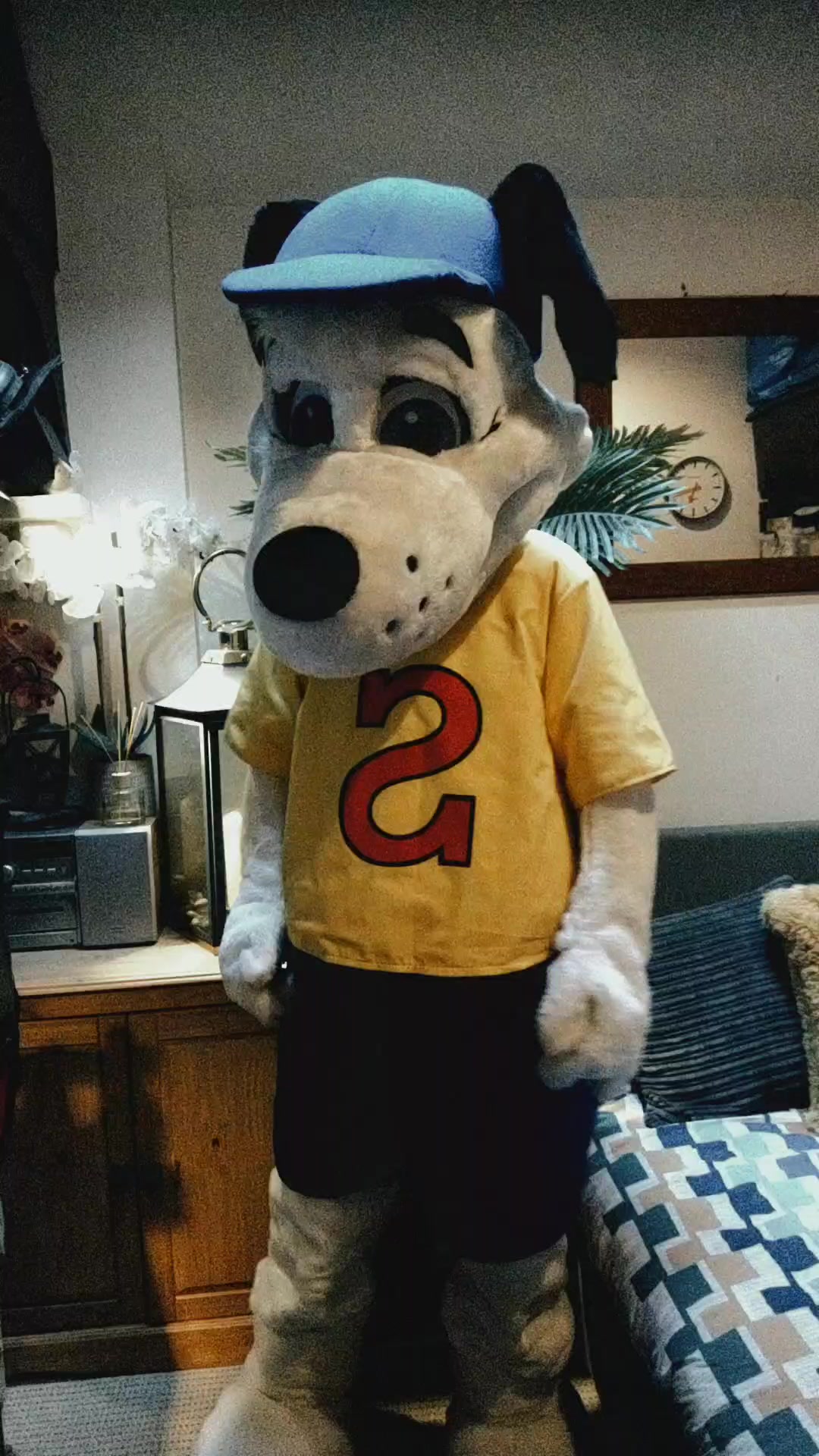 @Mascot Dan