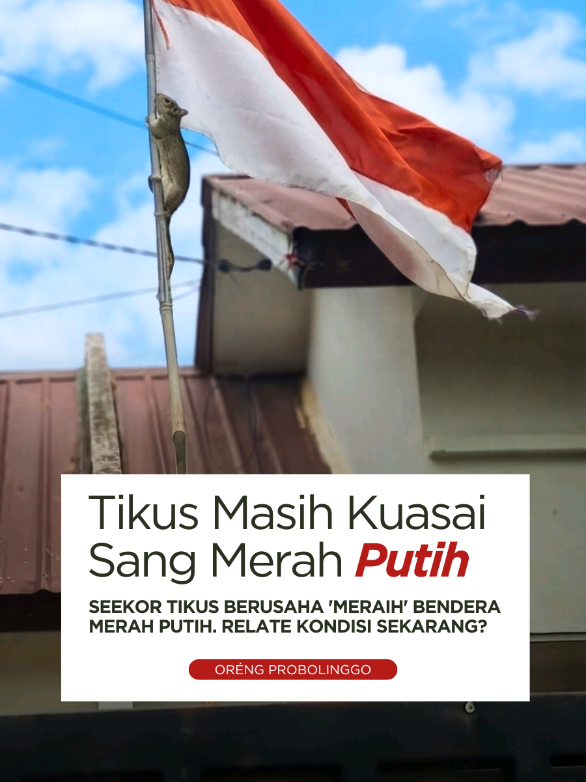 @ORENG PROBOLINGGO
