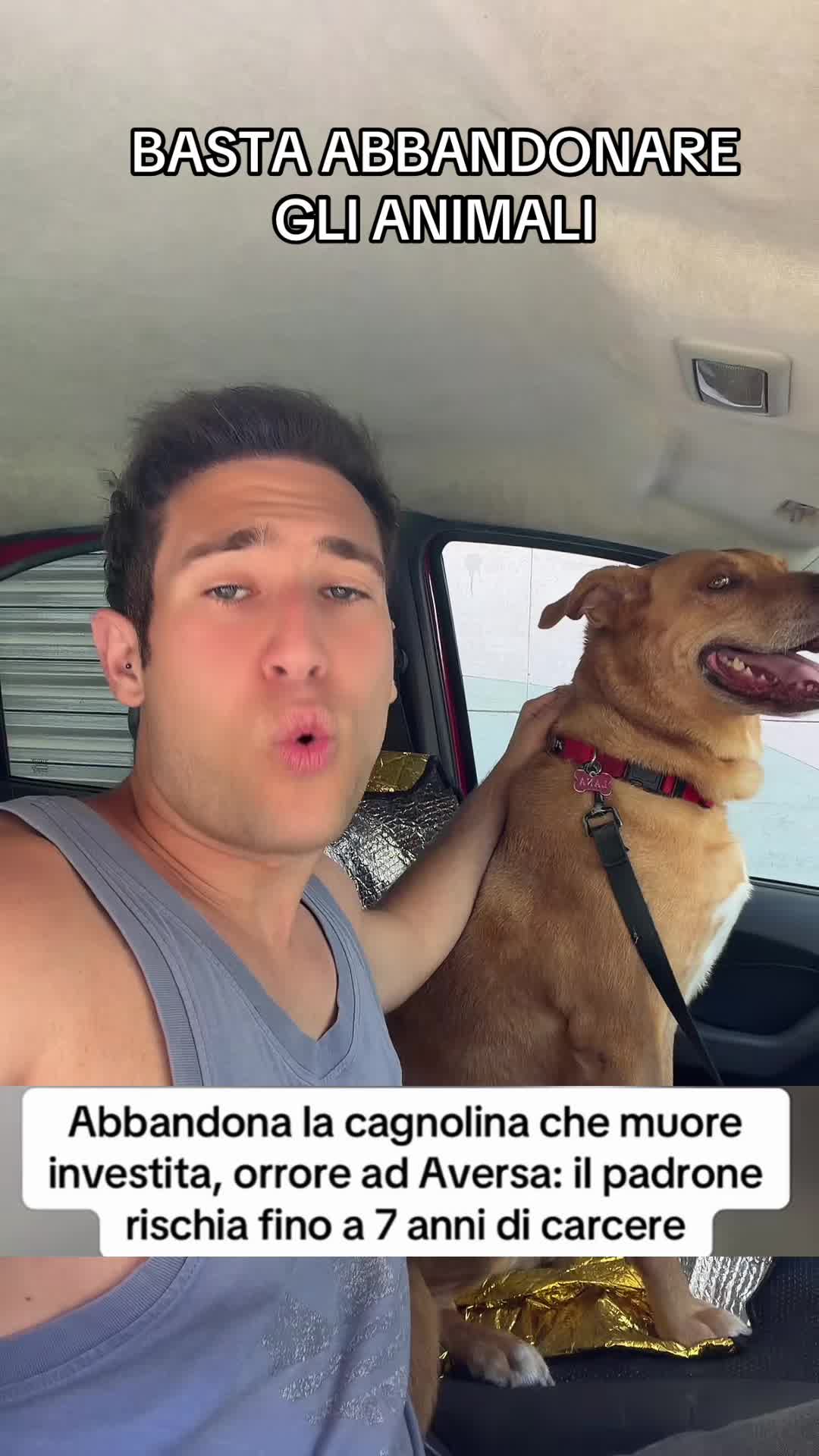 @Bettux
