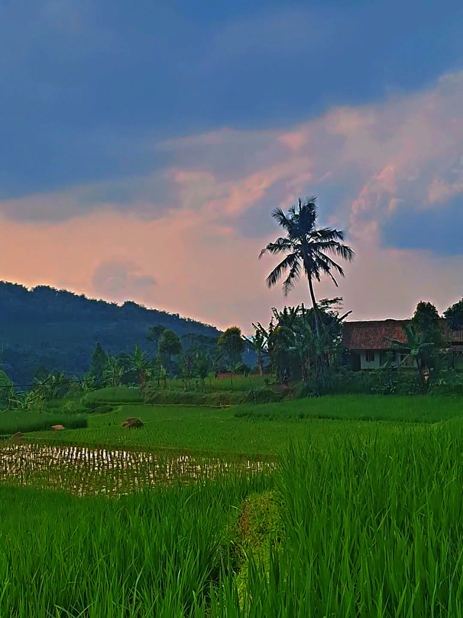 @Majalengka Pride