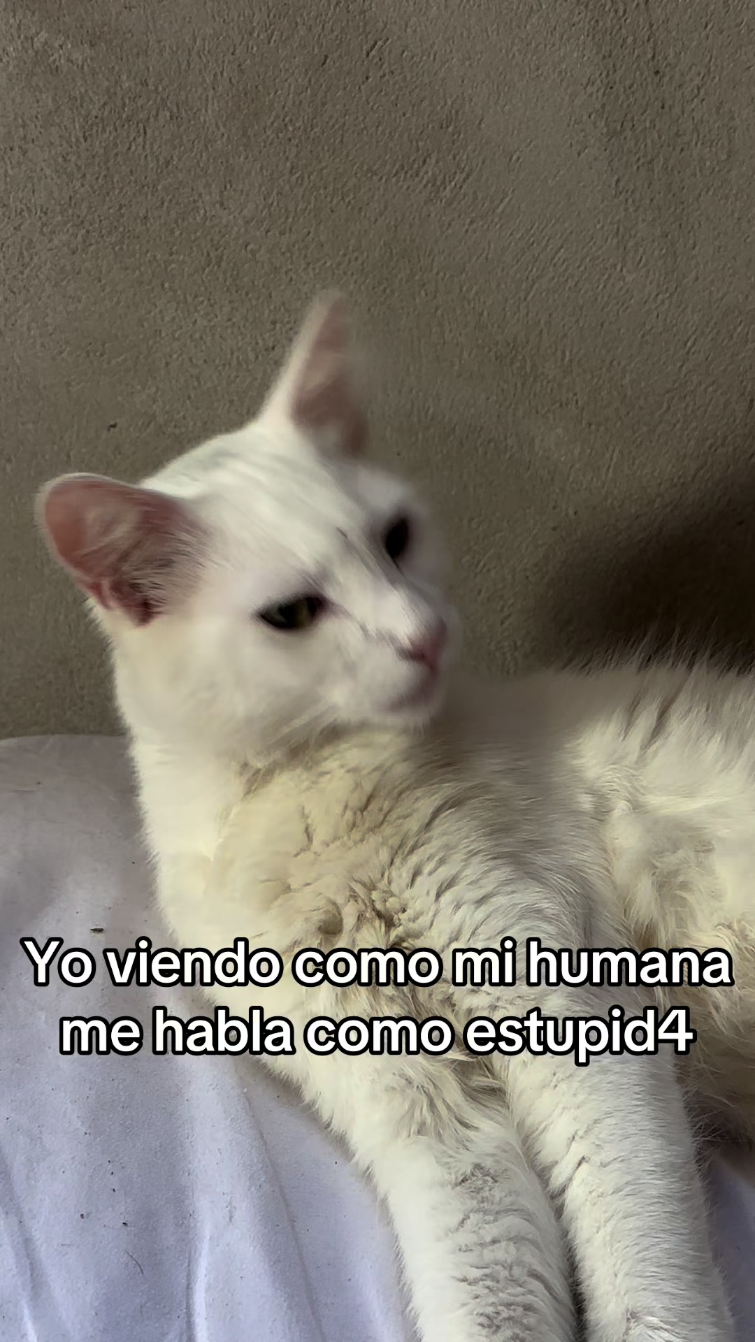 @lu