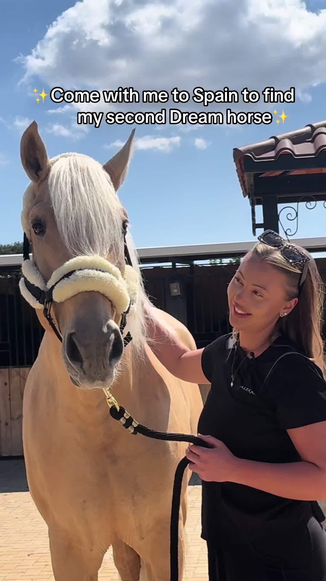 @Izabellasvarddressage